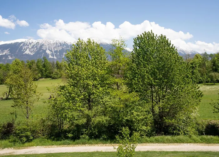 Mountain Jula Apartment Bled